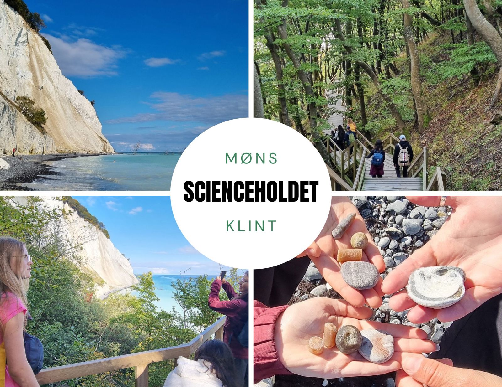 Scienceholdet på Møns klint